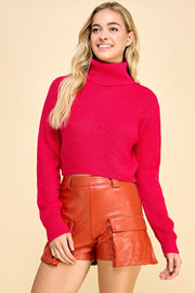 Turtle Neck Crip Sweater I ABHS0137