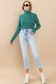 Turtle Neck Crip Sweater I ABHS0137