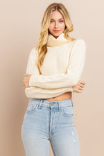 Load image into Gallery viewer, Turtle Neck Crip Sweater I ABHS0137

