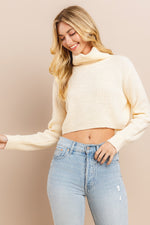Load image into Gallery viewer, Turtle Neck Crip Sweater I ABHS0137
