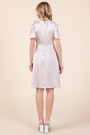 Satin V-Neck Mini Dress | ABSD7516