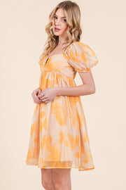 Butterfly Mesh Mini Dress | ABND0811