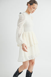 Mock Neck Mini Dress I ABED7532 I SHIP 09/25/24