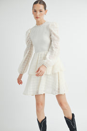 Mock Neck Mini Dress I ABED7532 I SHIP 09/25/24