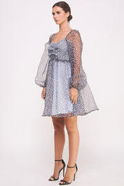 Animal Print Puff Sleeve Mini Dress I ABED7580 I SHIP 09/11/24