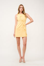 Bow Detail Mini Dress  I ABED7741 I SHIP 03/31/25