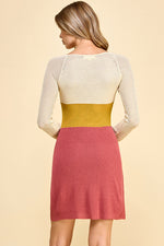 Load image into Gallery viewer, Color Block Long Sleeve Mini Dress I ABNS0658 I SHIP 09/25/24
