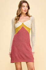 Load image into Gallery viewer, Color Block Long Sleeve Mini Dress I ABNS0658 I SHIP 09/25/24
